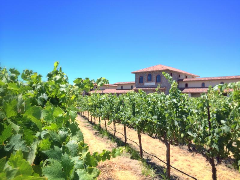 “Winegrape growers have long been committed to sustainability, including healthy soils and carbon sequestration through composting and other means,” said Michael Miiller, director of Government Relations for the California Association of Winegrape Growers. 